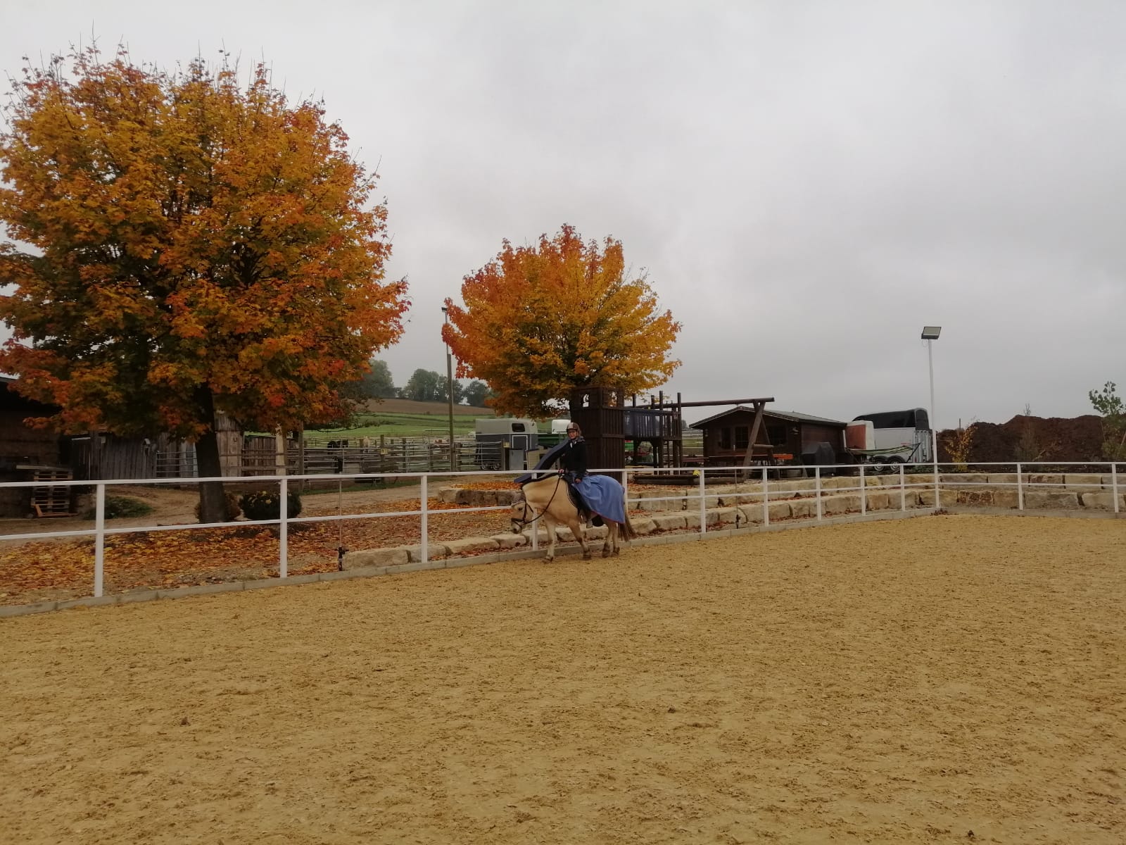 Reitplatz bei Flutlicht am Erlebnishof Oettingen