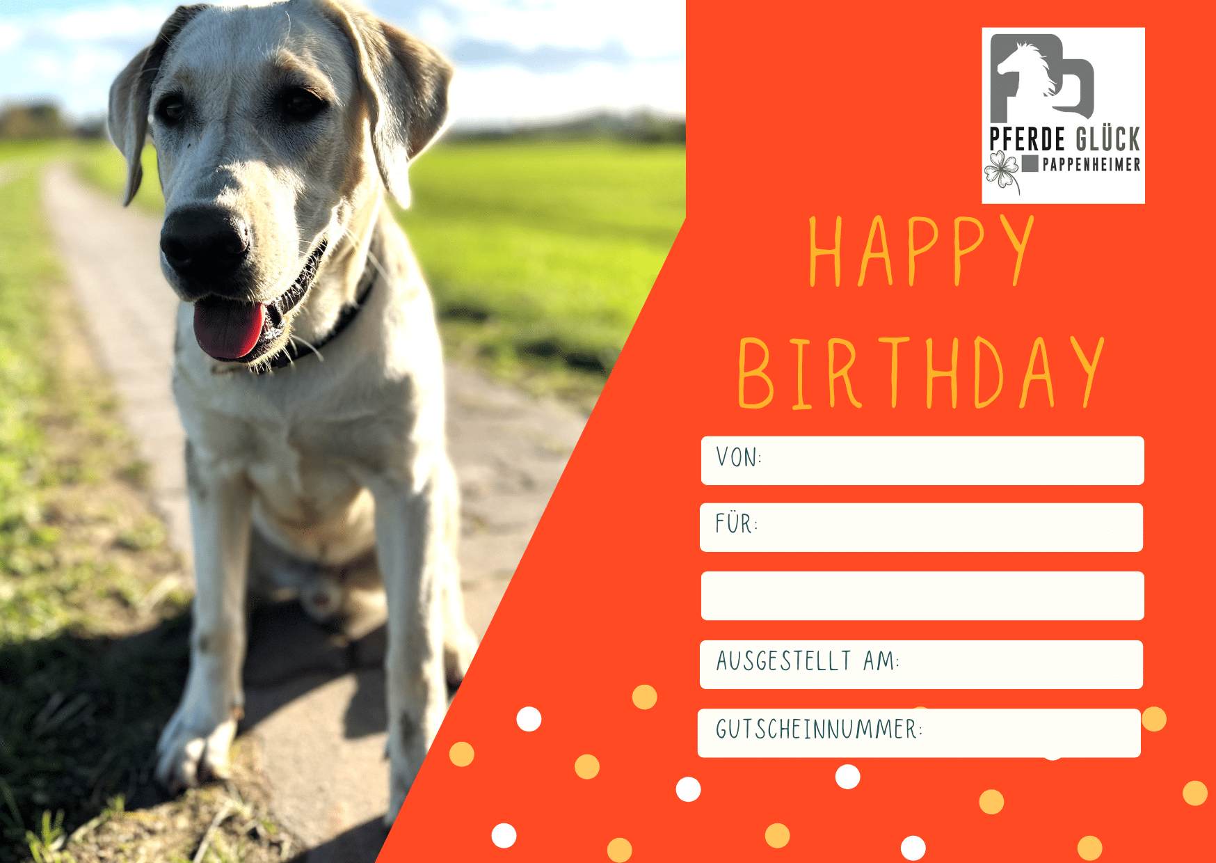 Geburtstagsgutschein Rückseite