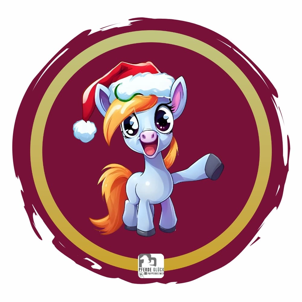 Weihnachtspony 11