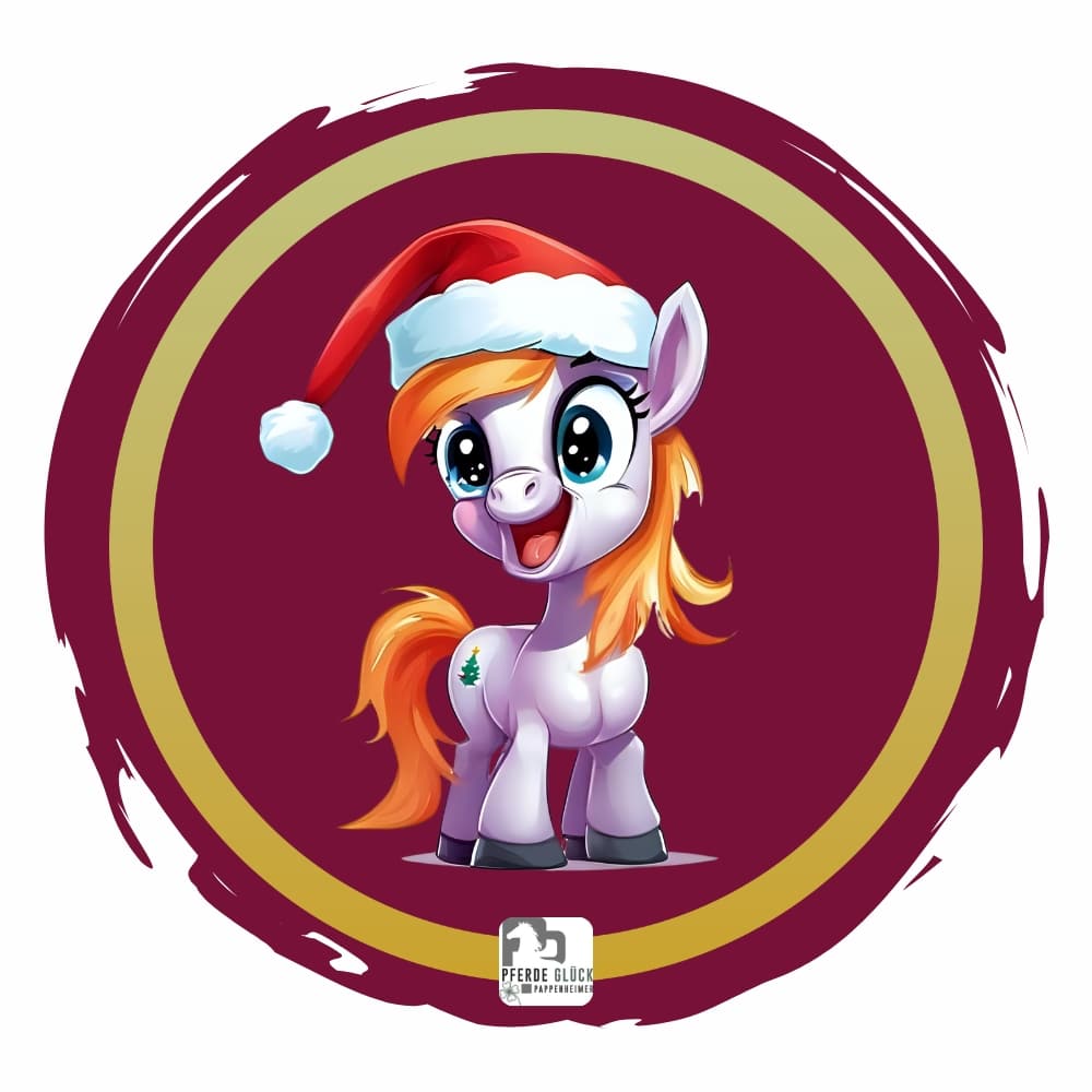 Weihnachtspony 12