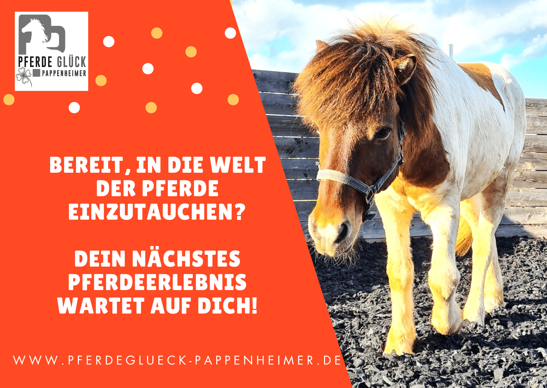 Gutschein für jeden Anlass Vorderseite