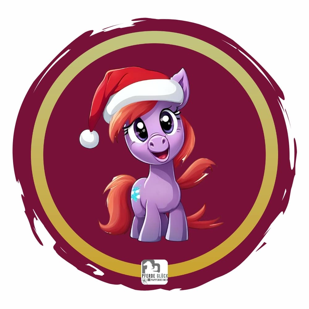 Weihnachtspony 3