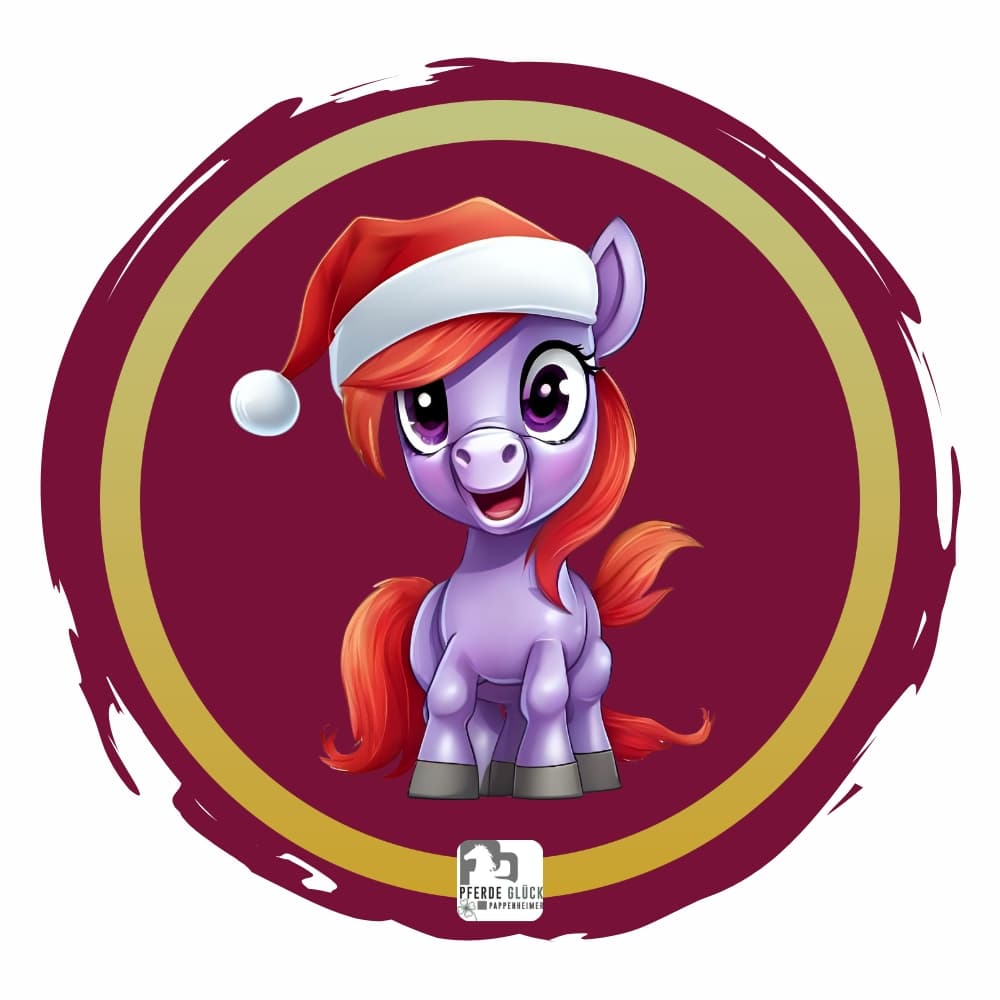 Weihnachtspony 5