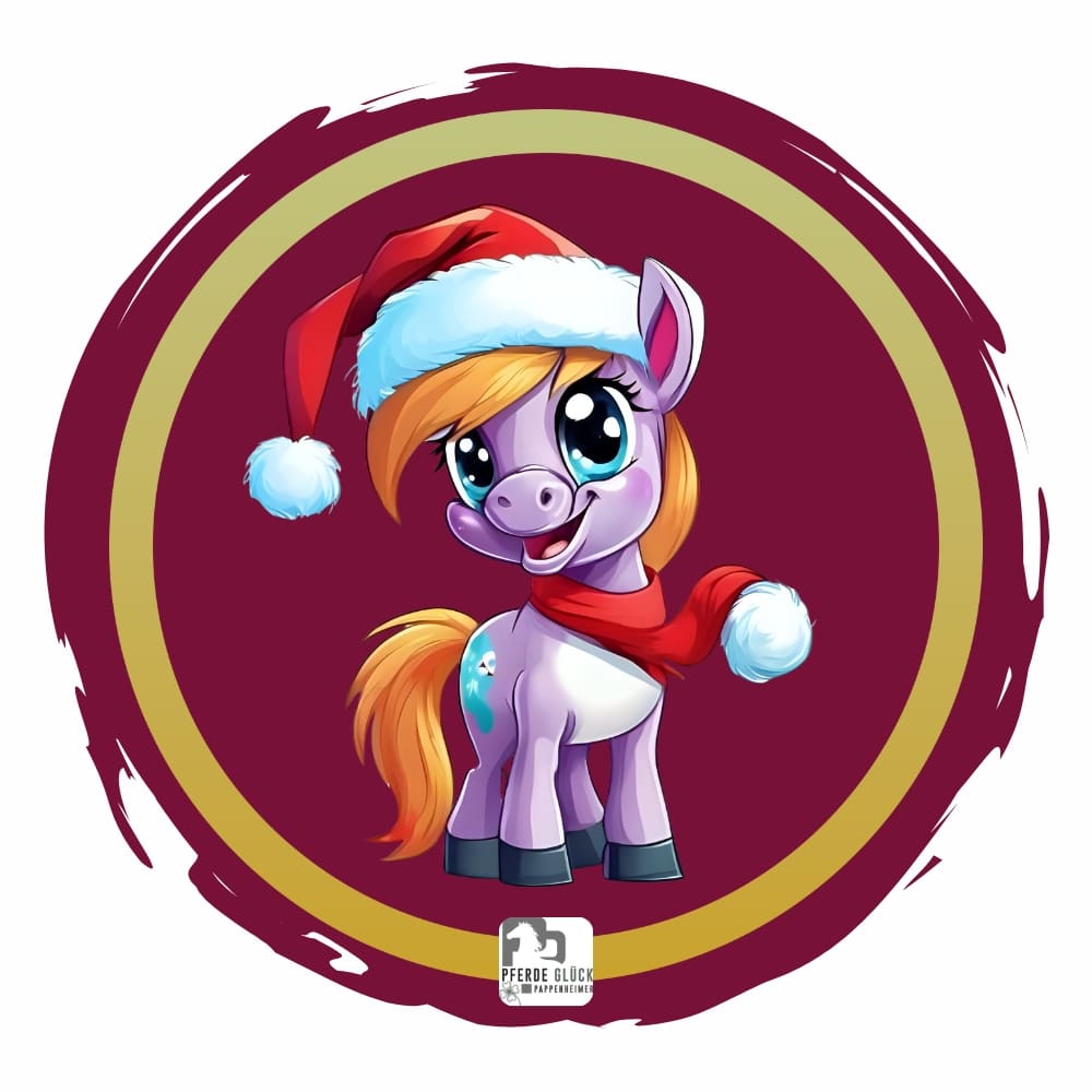 Weihnachtspony 6