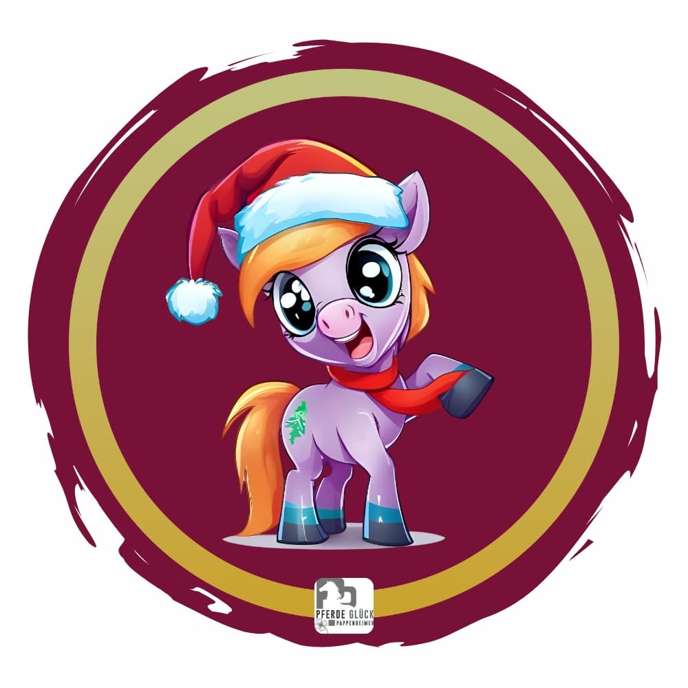 Weihnachtspony 8