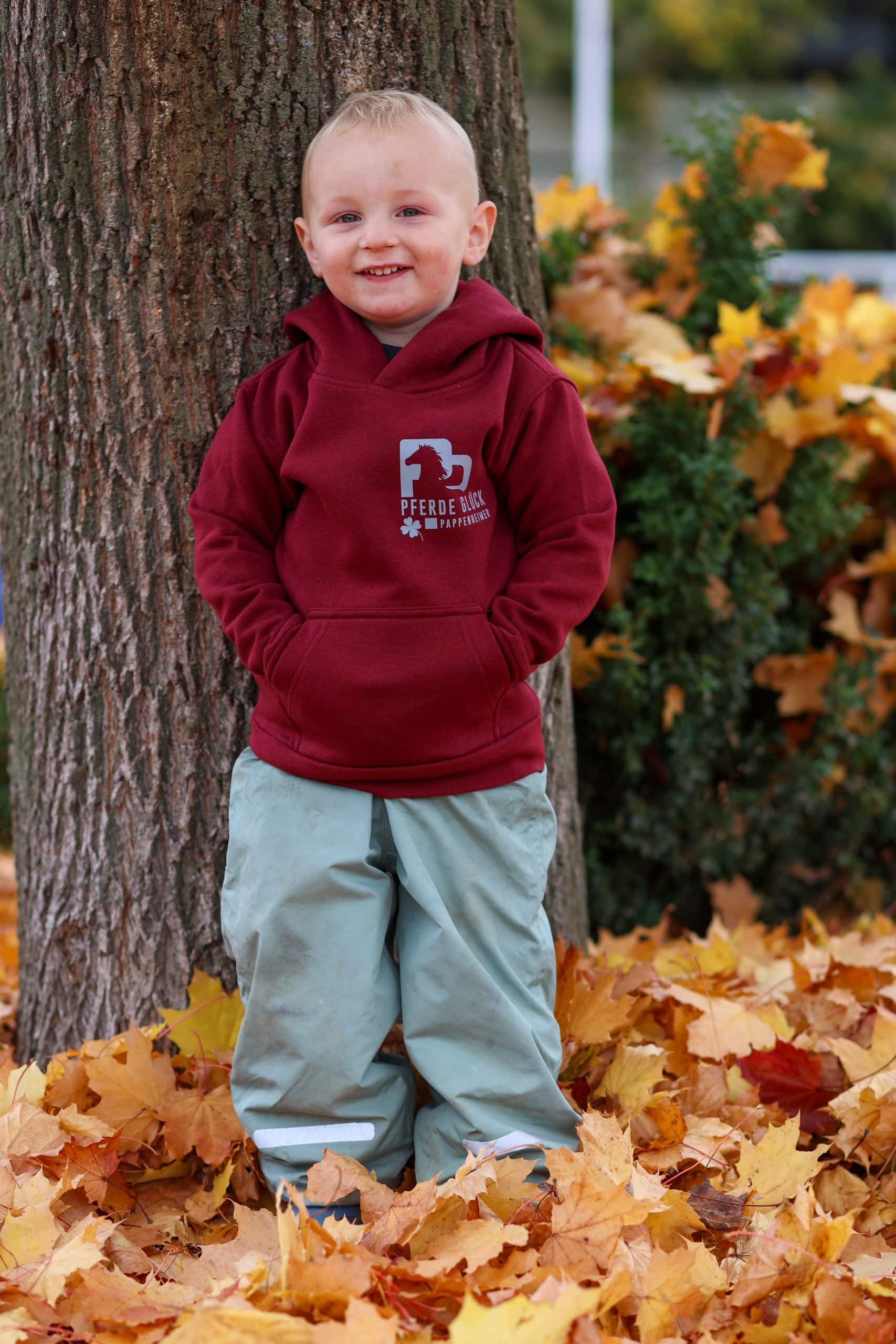 Max Pappenheimer – kleiner Kämpfer & Pferdefreund