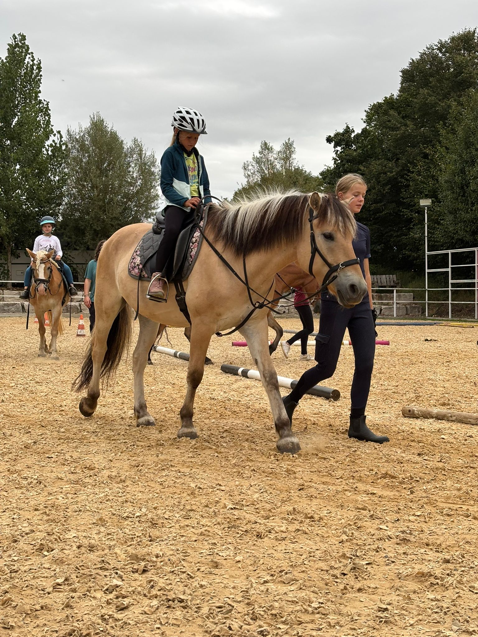 Reitabzeichen am Erlebnishof Oettingen