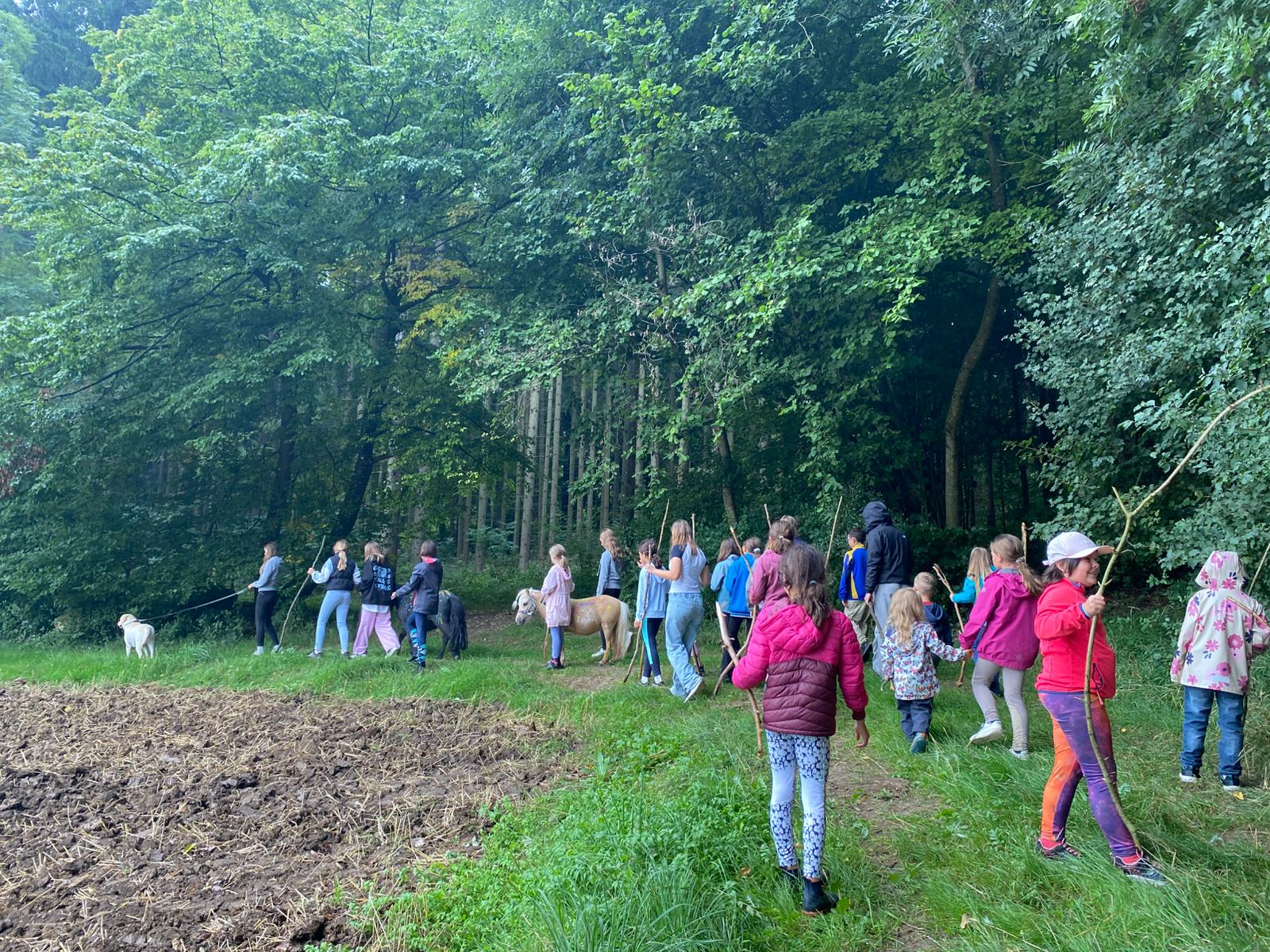 Pferdezeit Erlebnishof Oettingen