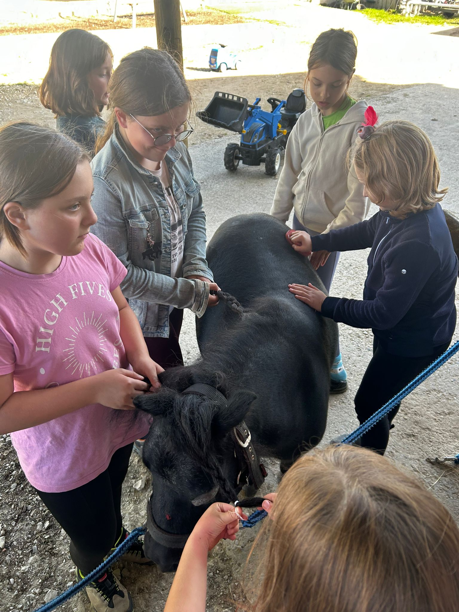 Kinder beim Reitercamp am Erlebnishof Oettingen