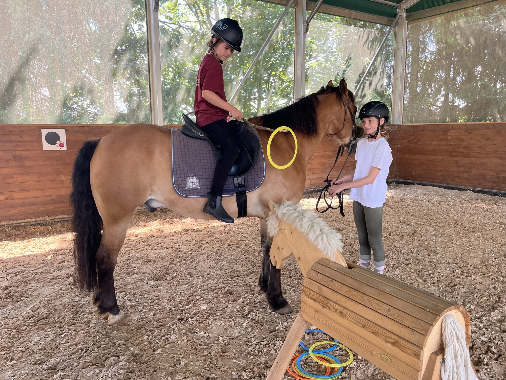 Reiten ohne Sattel und Halsring Kinder Pferdeglück Pappenheimer